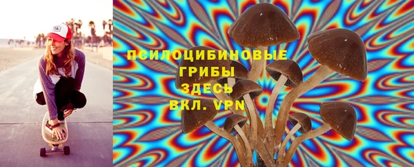MDMA Premium VHQ Гусев