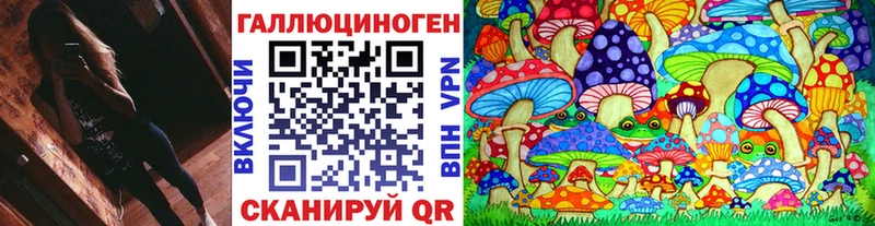 Галлюциногенные грибы GOLDEN TEACHER  Купить где  Шахунья 