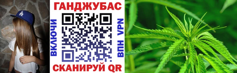 Купить закладки  Шахунья  Бошки марихуана тримм 
